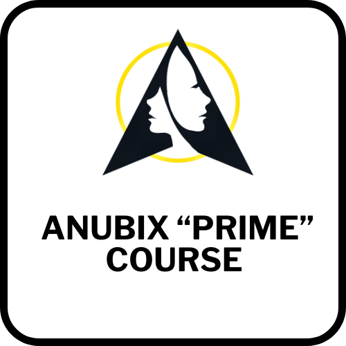 Anubix course logo - PRIME Mini-Fellowship